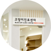 고양이 진료센터